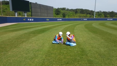 6. 잔디제초